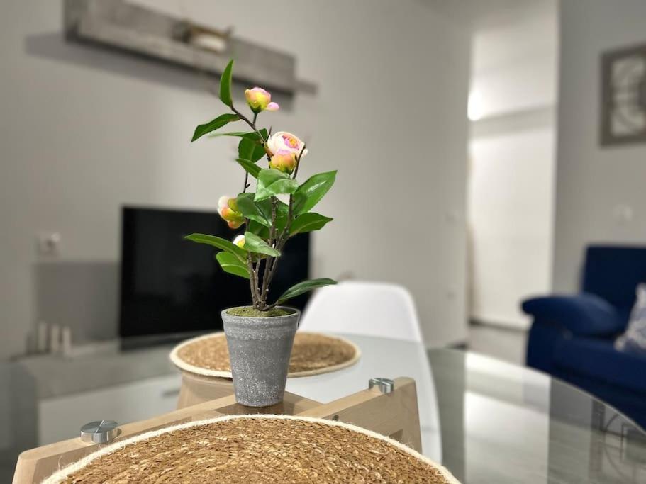 Apartamentos Rincon Andaluz 3 코르도바 외부 사진