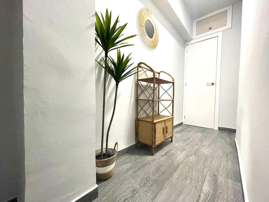 Apartamentos Rincon Andaluz 3 코르도바 외부 사진